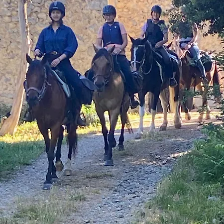 La Ferme De Marithe Relais Ferienhaus Cailla