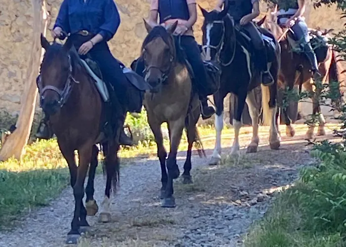 La Ferme De Marithe Relais Ferienhaus Cailla
